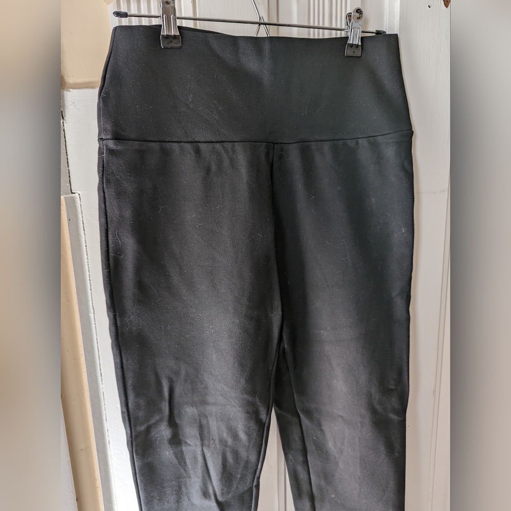 Modern Citizen High Waisted Ponte Pant